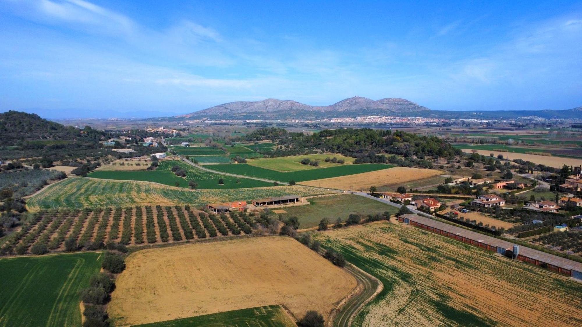 Mas Vermell Fontanilles Εξωτερικό φωτογραφία